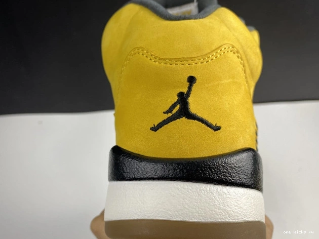 Chep Onekick Air T23 5 454783-701 Retro Jordan Tokyo 0817